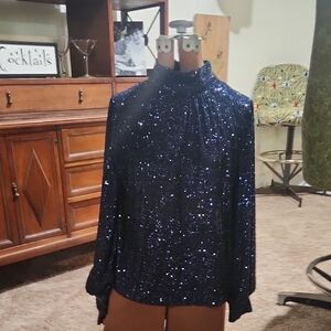 Cable & Gauge Sparkling Midnight Blouse